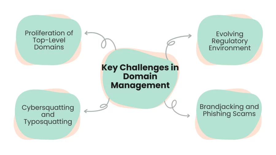 key challenges in domain management