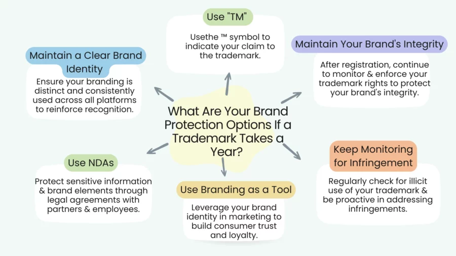 what are your brand protection options if a trademark takes a year