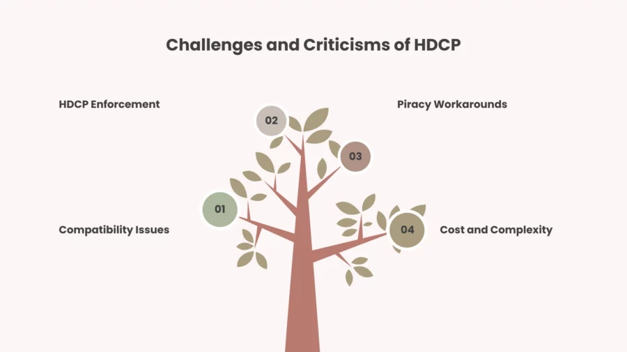 challenges and criticisms of hdcp