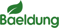 Baeldung